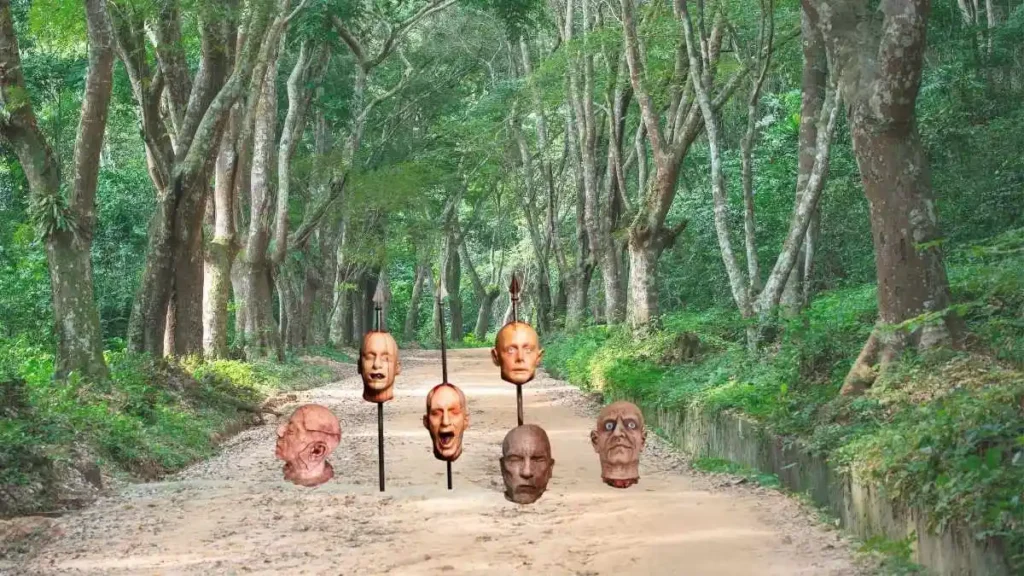 Six Heads Found in Mexico on a dirt road in a forest, highlighting violence linked to cartel crime.