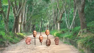 Six Heads Found in Mexico : America में सड़क पर मिले 6 कटे हुए सिर